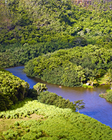 Polynesian Adventure