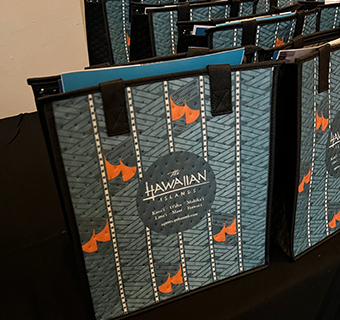 HVCB Blitz in Spring
