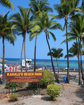 Waikiki Circle Hotel