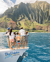 Blue Dolphin Charters