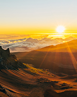 Polynesian Adventure